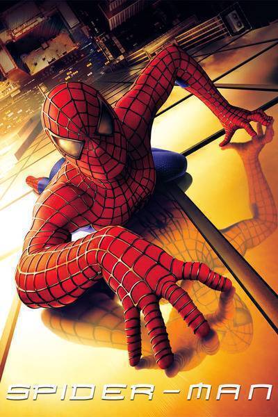 Spider-Man Hindi Dubbed Movie Poster (2002)