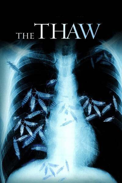 The Thaw Hindi Dubbed Movie Poster (2009)