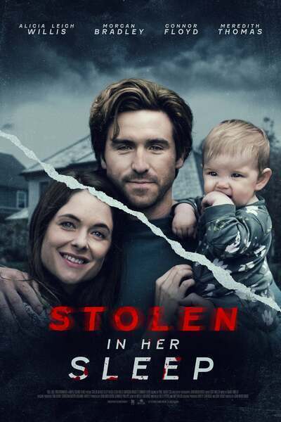 Stolen in Her Sleep Hindi Dubbed Movie Poster (2022)