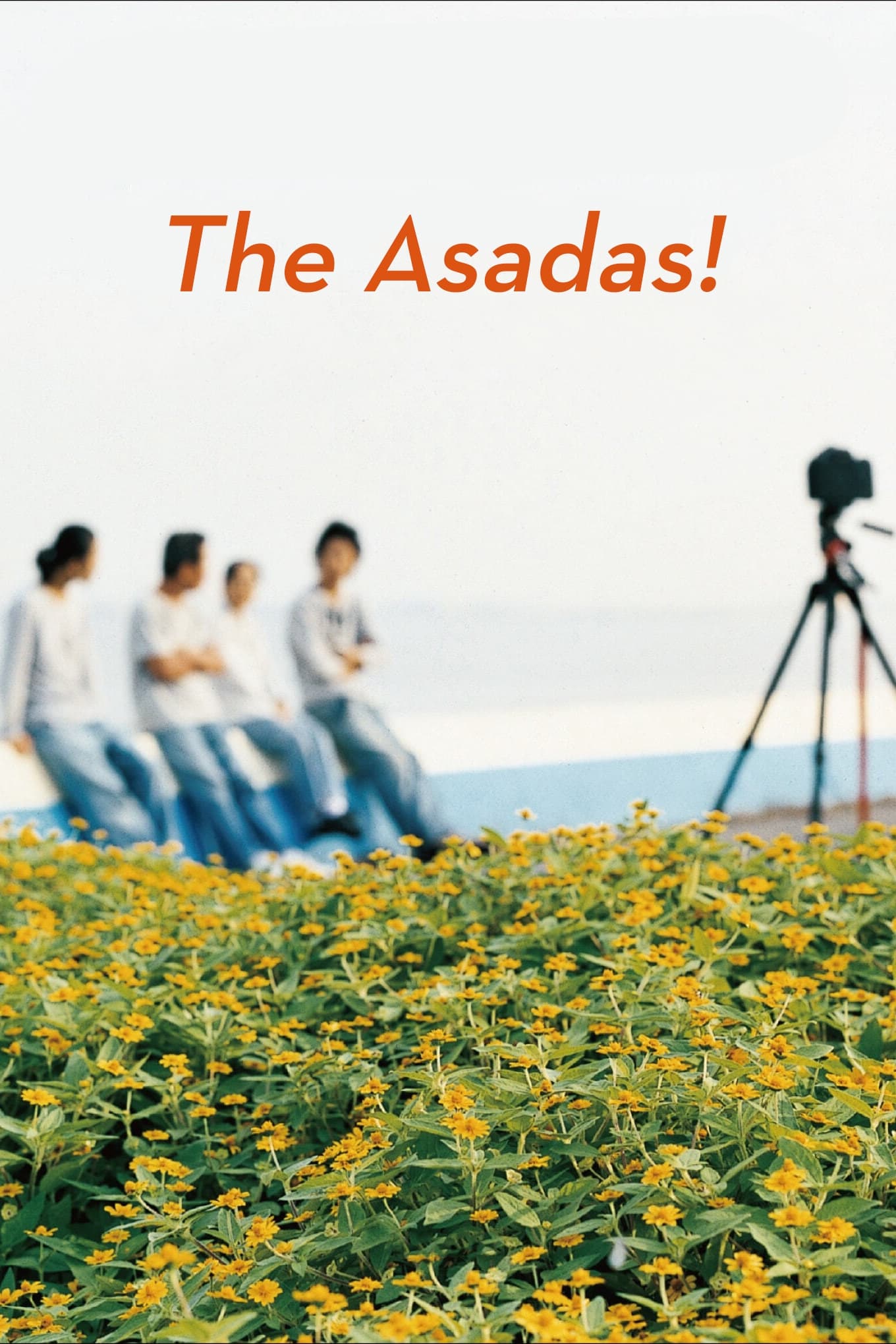 The Asadas! Hindi Dubbed Movie Poster (2020)