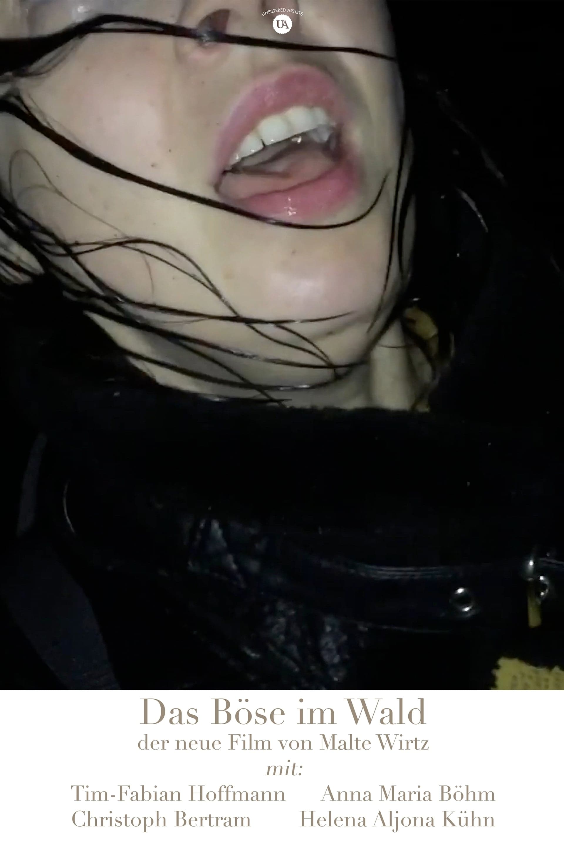 Evil in the Woods Hindi Dubbed Movie Poster (2022)