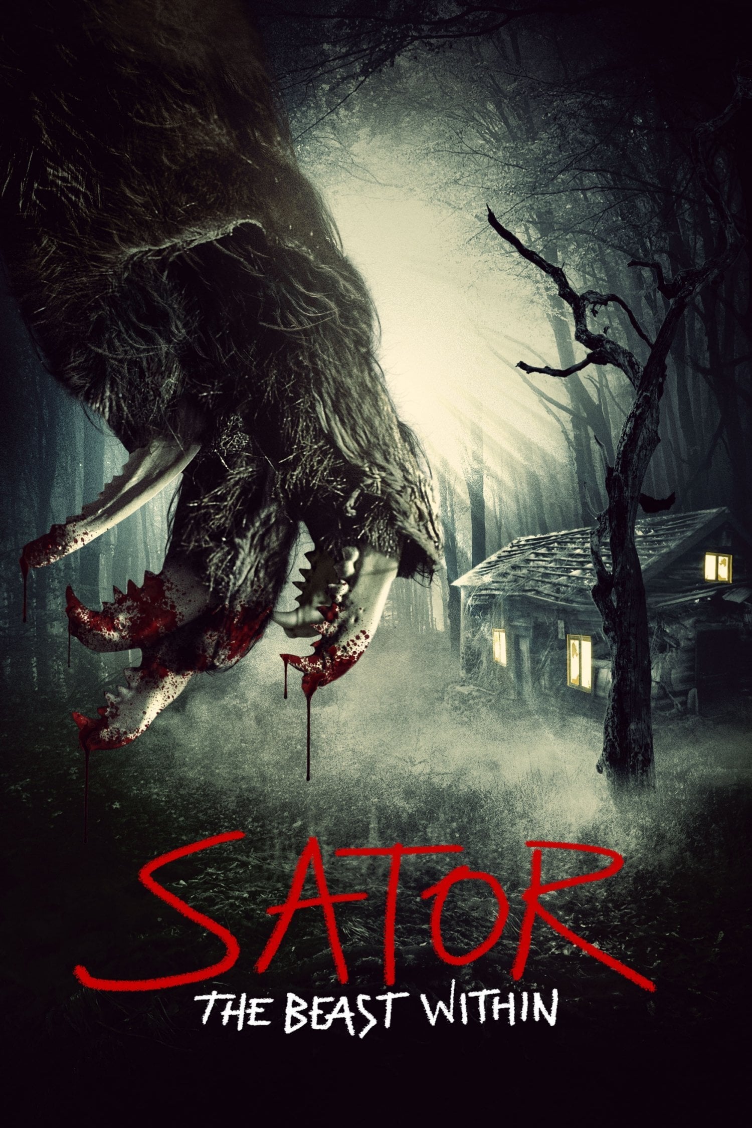 Sator Hindi Dubbed Movie Poster (2019)