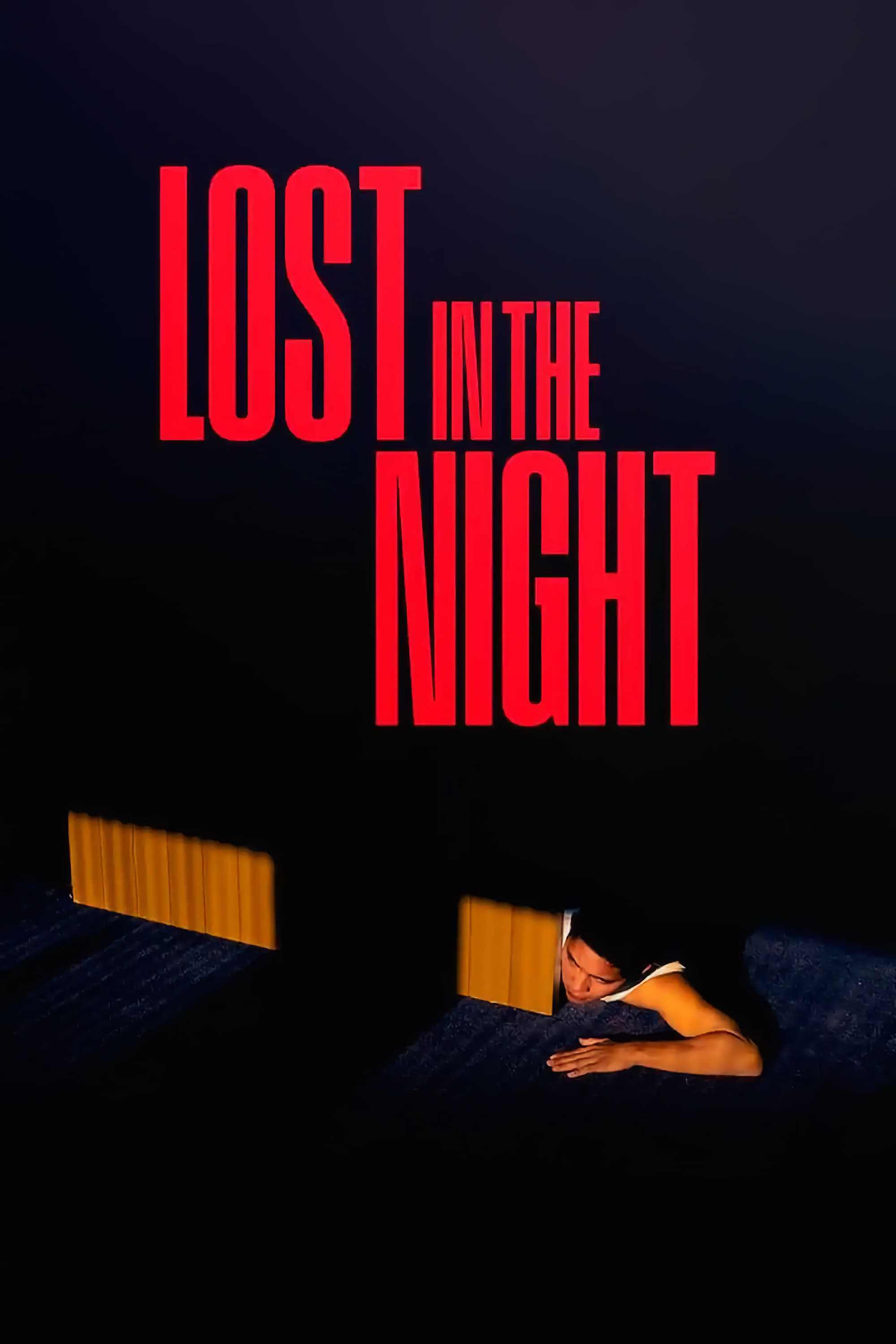 Lost in the Night Hindi Dubbed Movie Poster (2023)