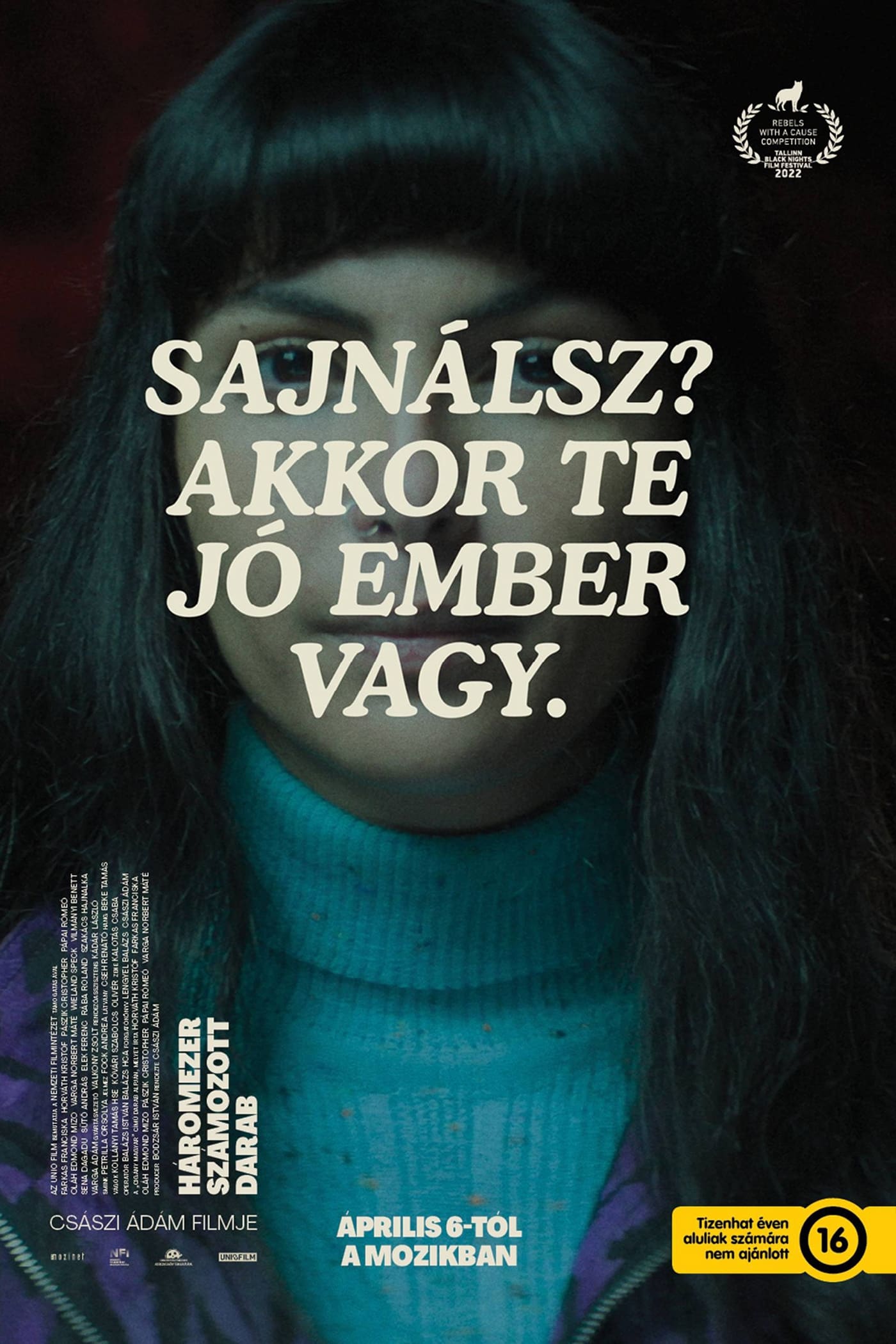 Three Thousand Numbered Pieces Hindi Dubbed Movie Poster (2023)