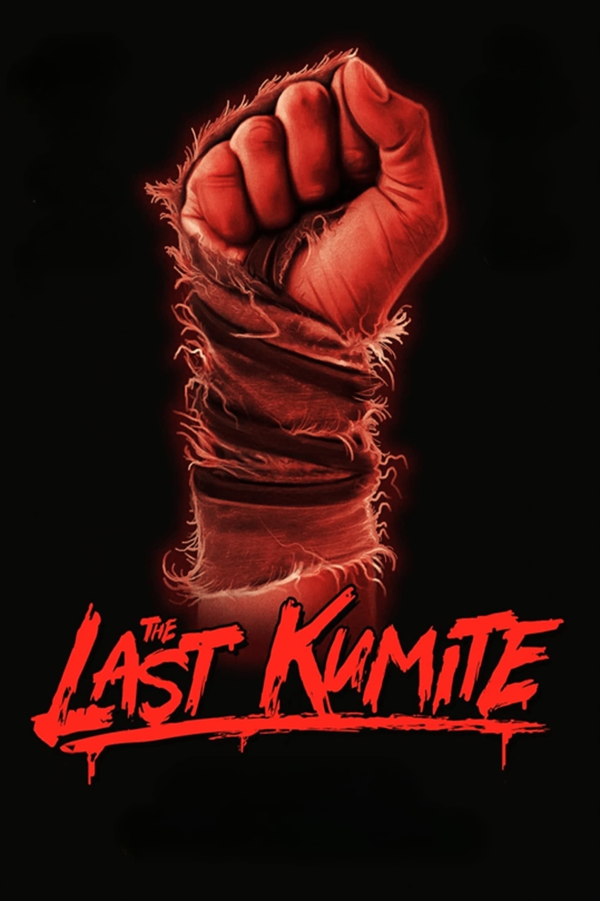 The Last Kumite Hindi Dubbed Movie Poster (2024)