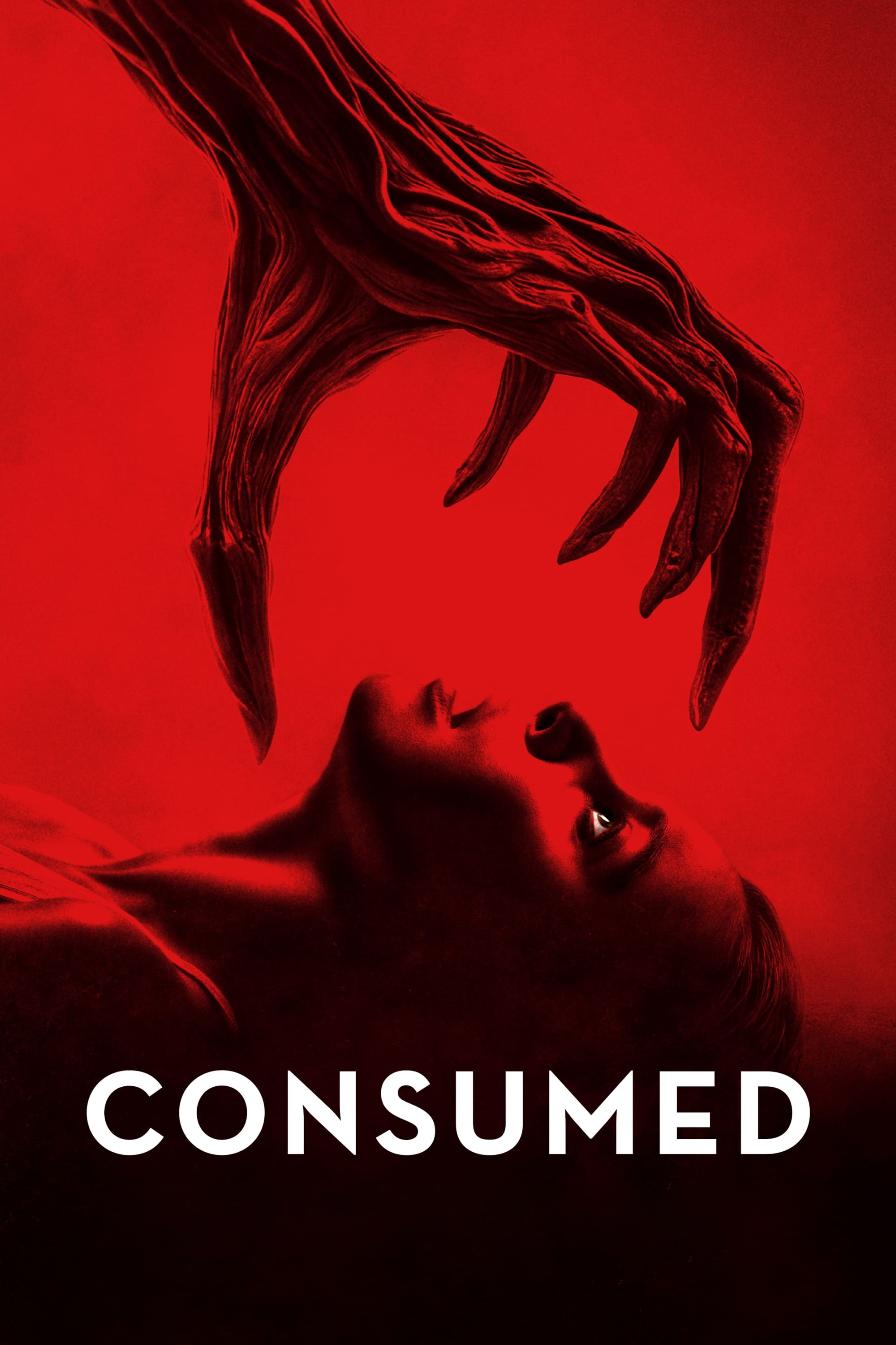 Consumed Hindi Dubbed Movie Poster (2024)