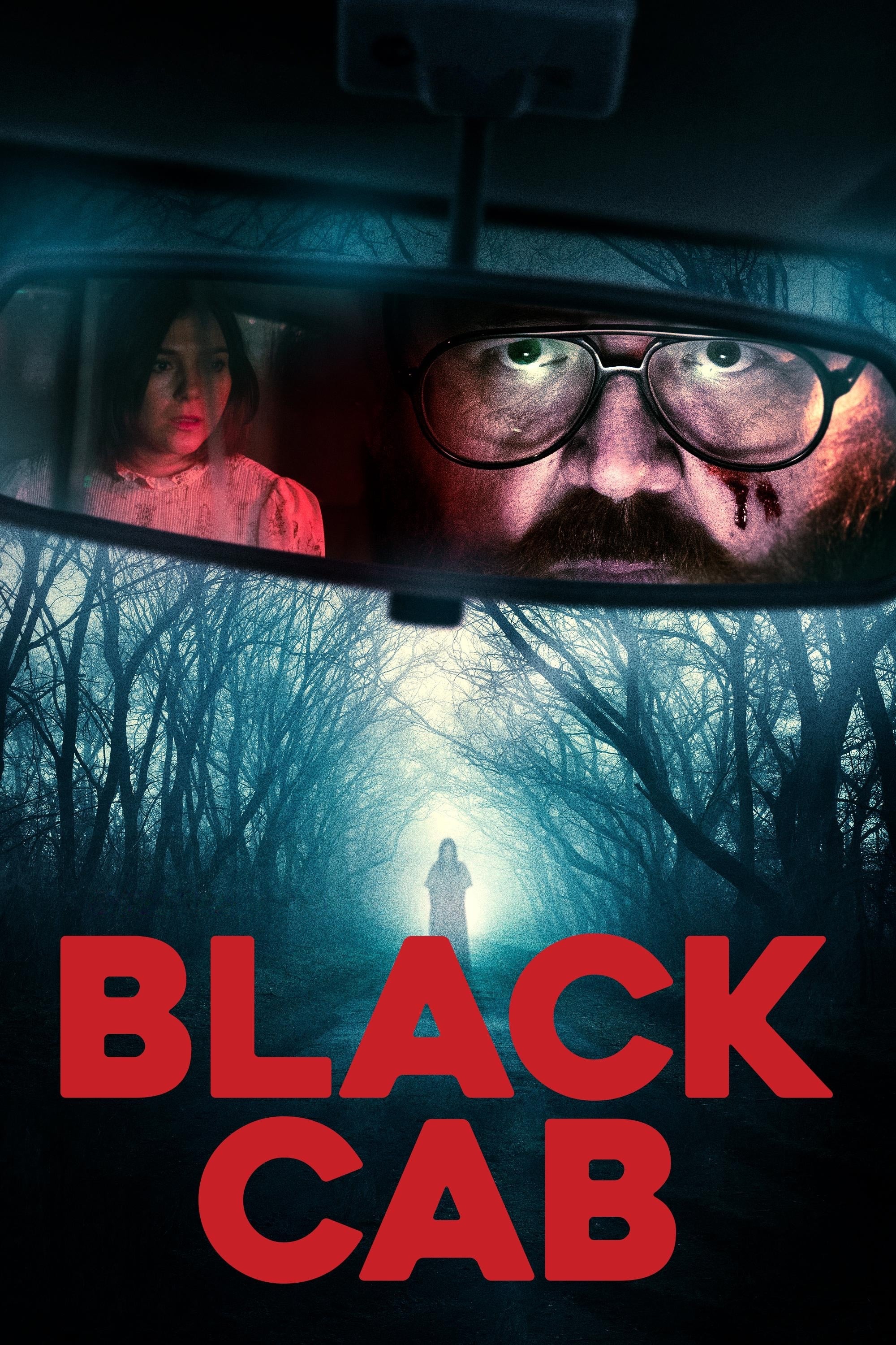 Black Cab Hindi Dubbed Movie Poster (2024)