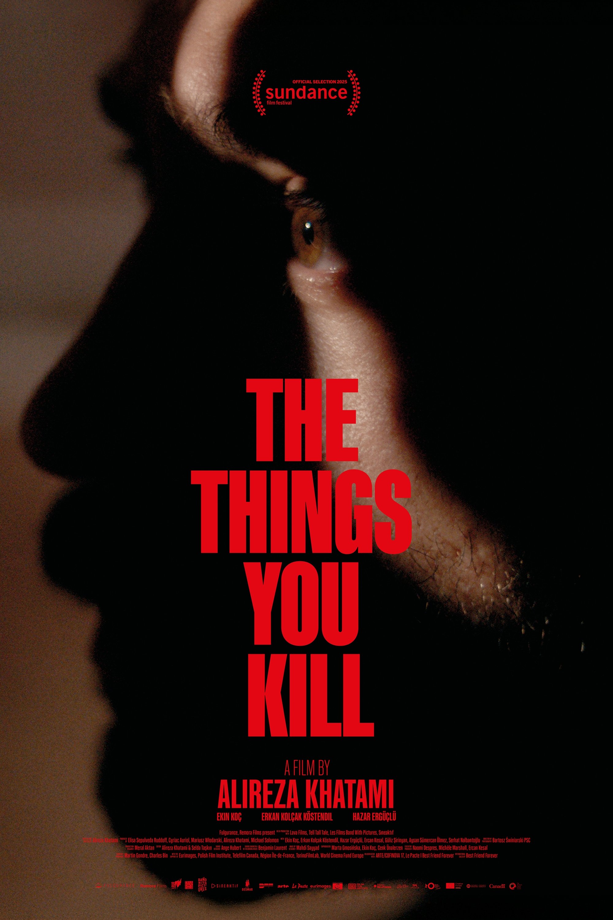 The Things You Kill Hindi Dubbed Movie Poster (2025)
