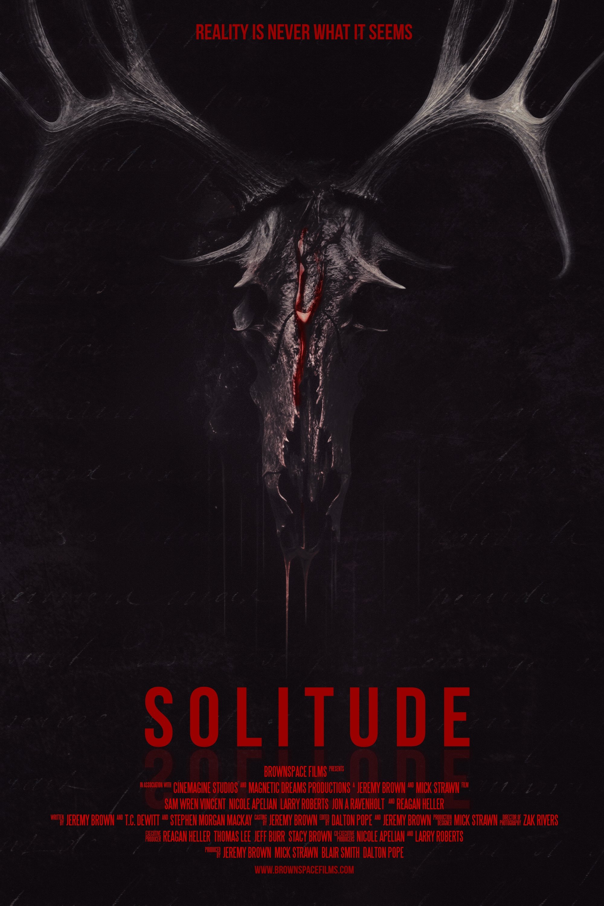 Solitude Hindi Dubbed Movie Poster (2024)